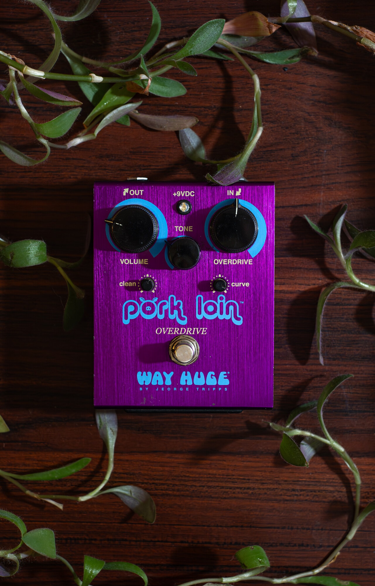 Way Huge Pork Loin Analog Overdrive