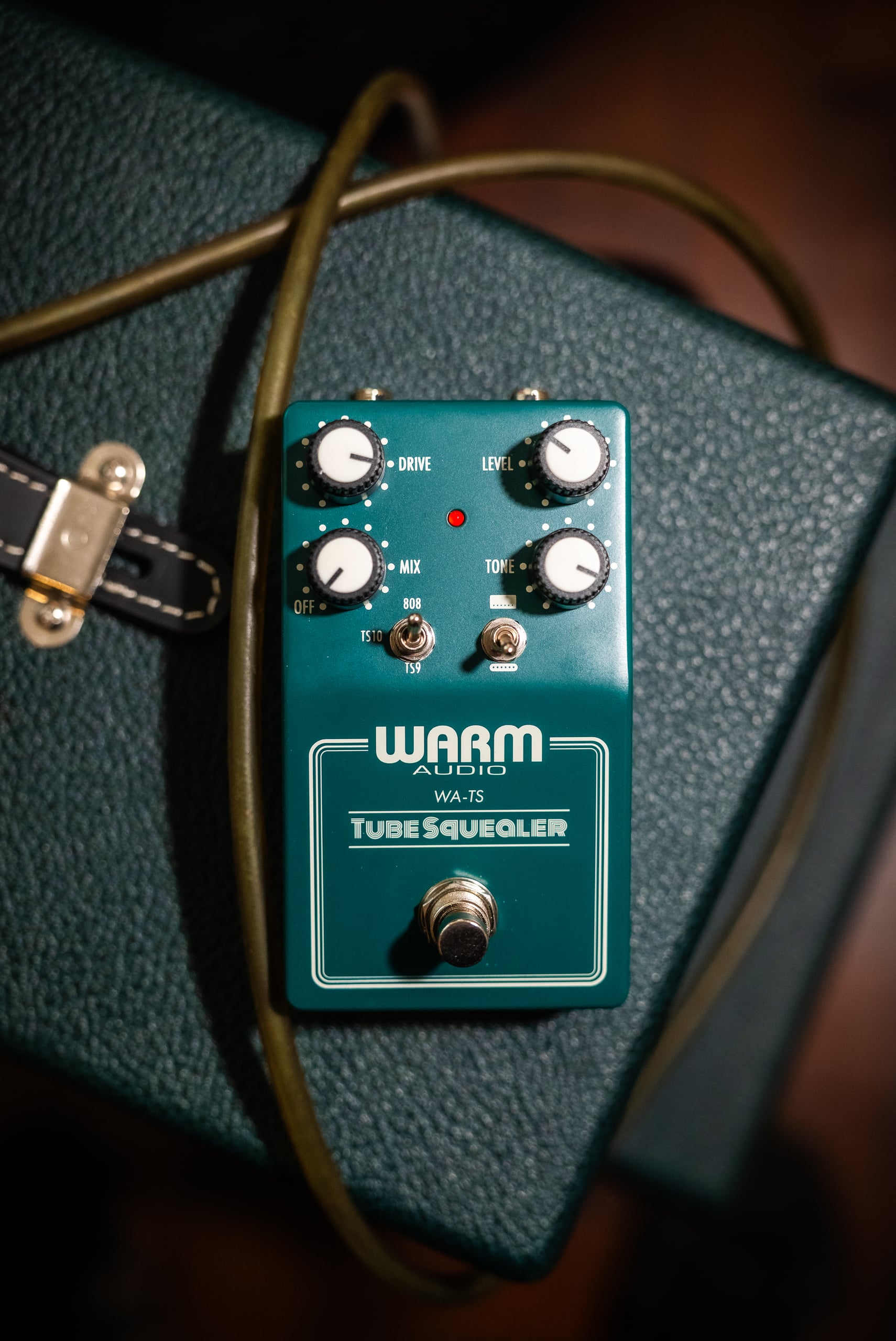Warm Audio Tube Squealer
