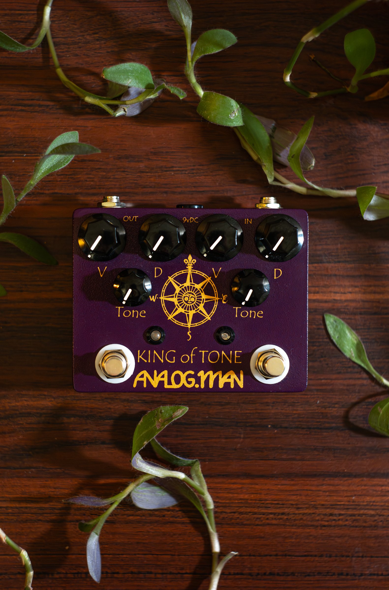 Analog Man King of Tone V4 Dual Overdrive