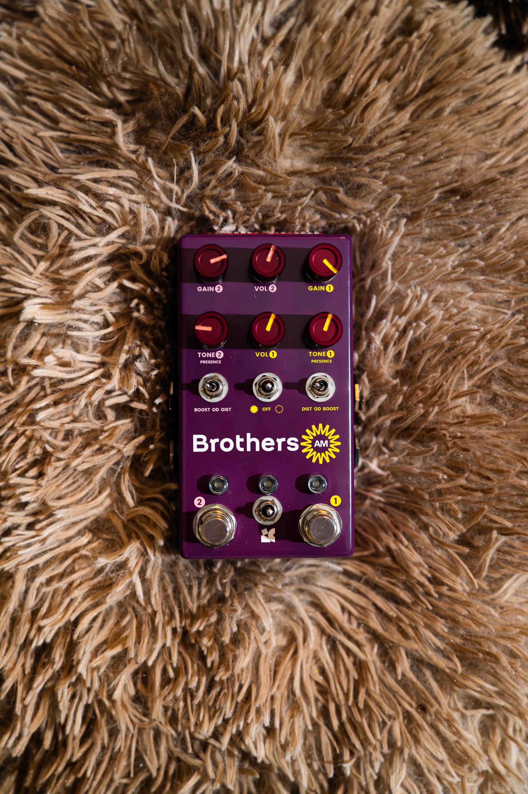 Chase Bliss Brothers AM (Analog Man Edition)