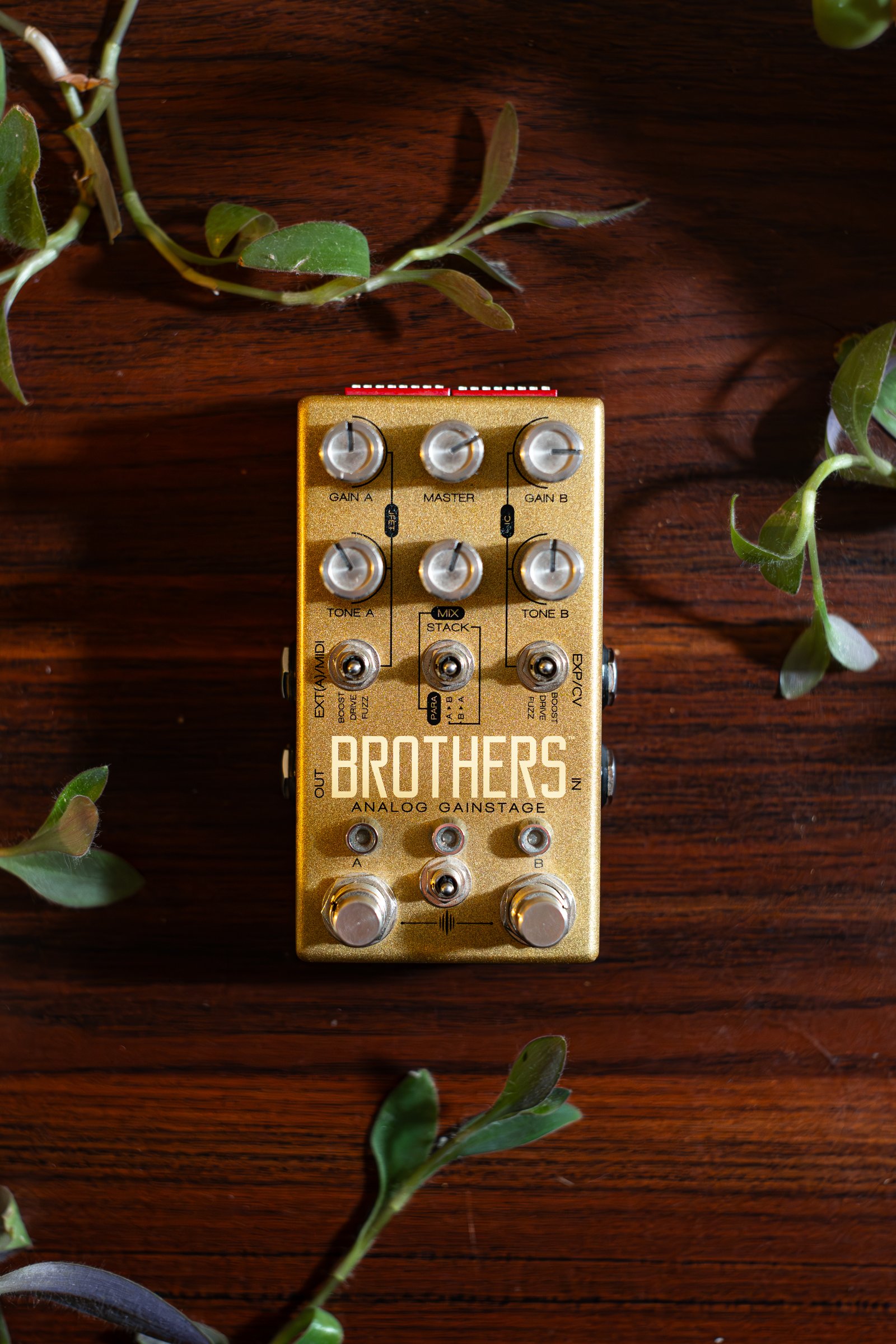 Chase Bliss Brothers Analog Gainstage