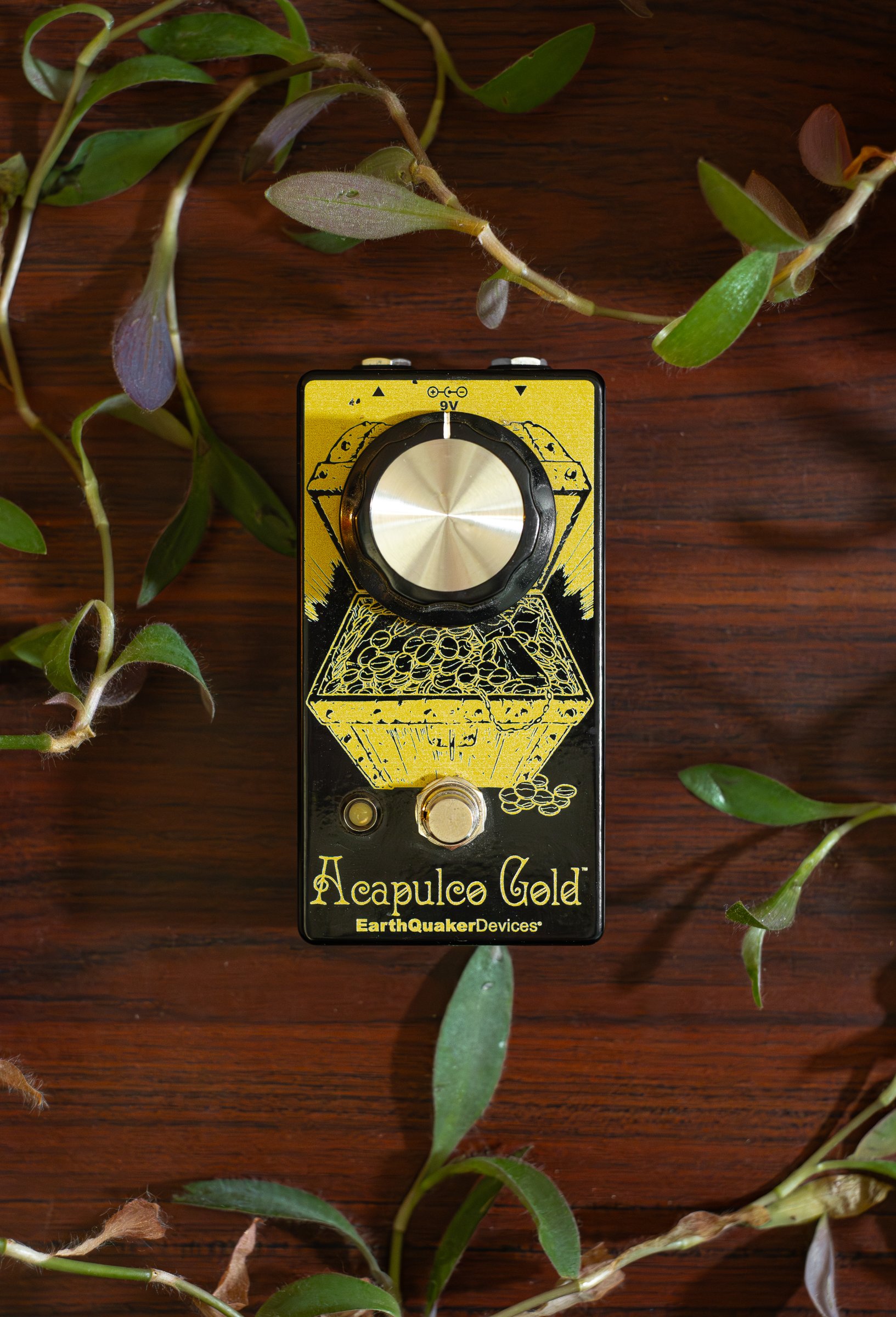EarthQuaker Devices Acapulco Gold V2