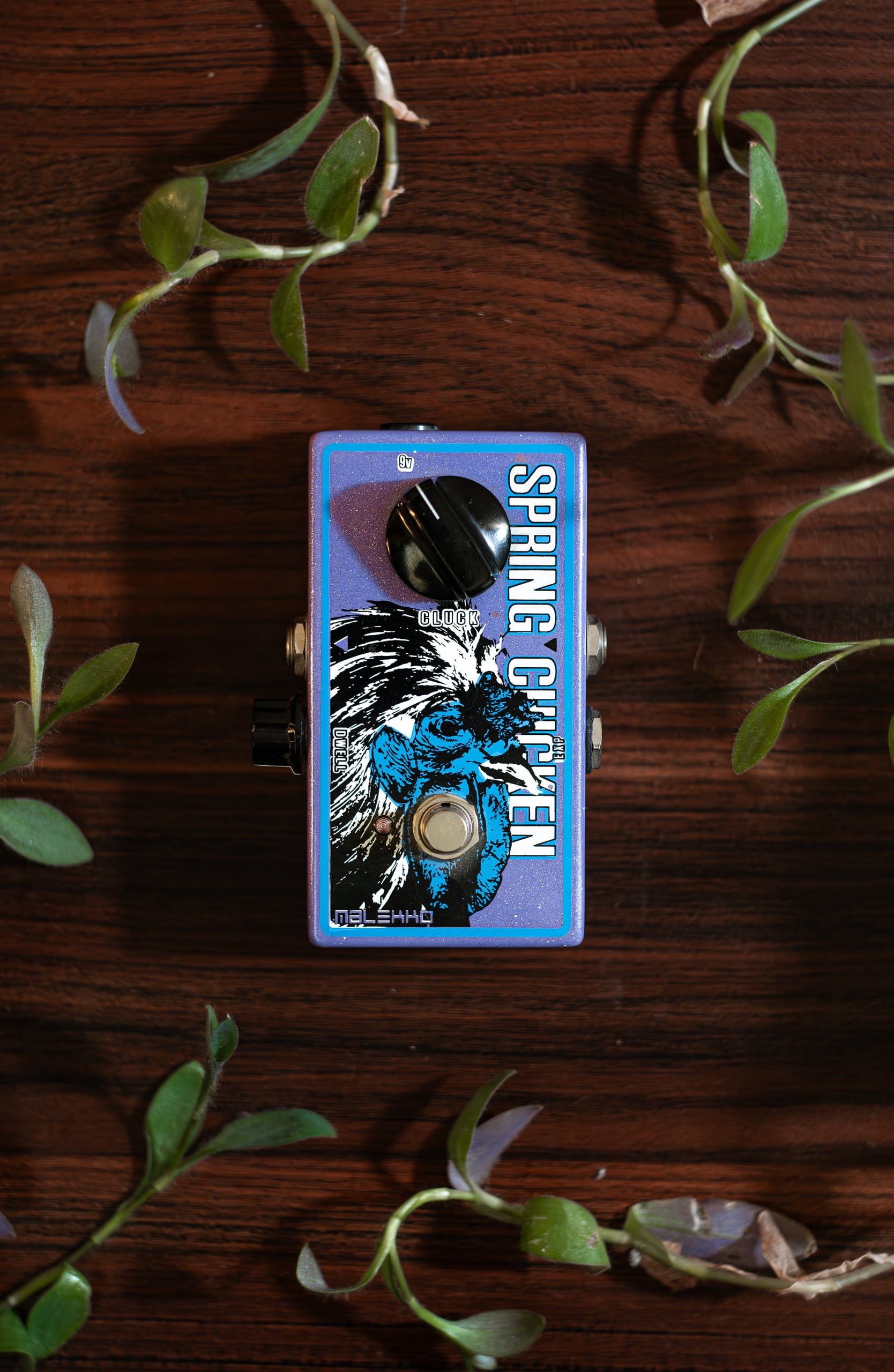 Malekko Spring Chicken Reverb