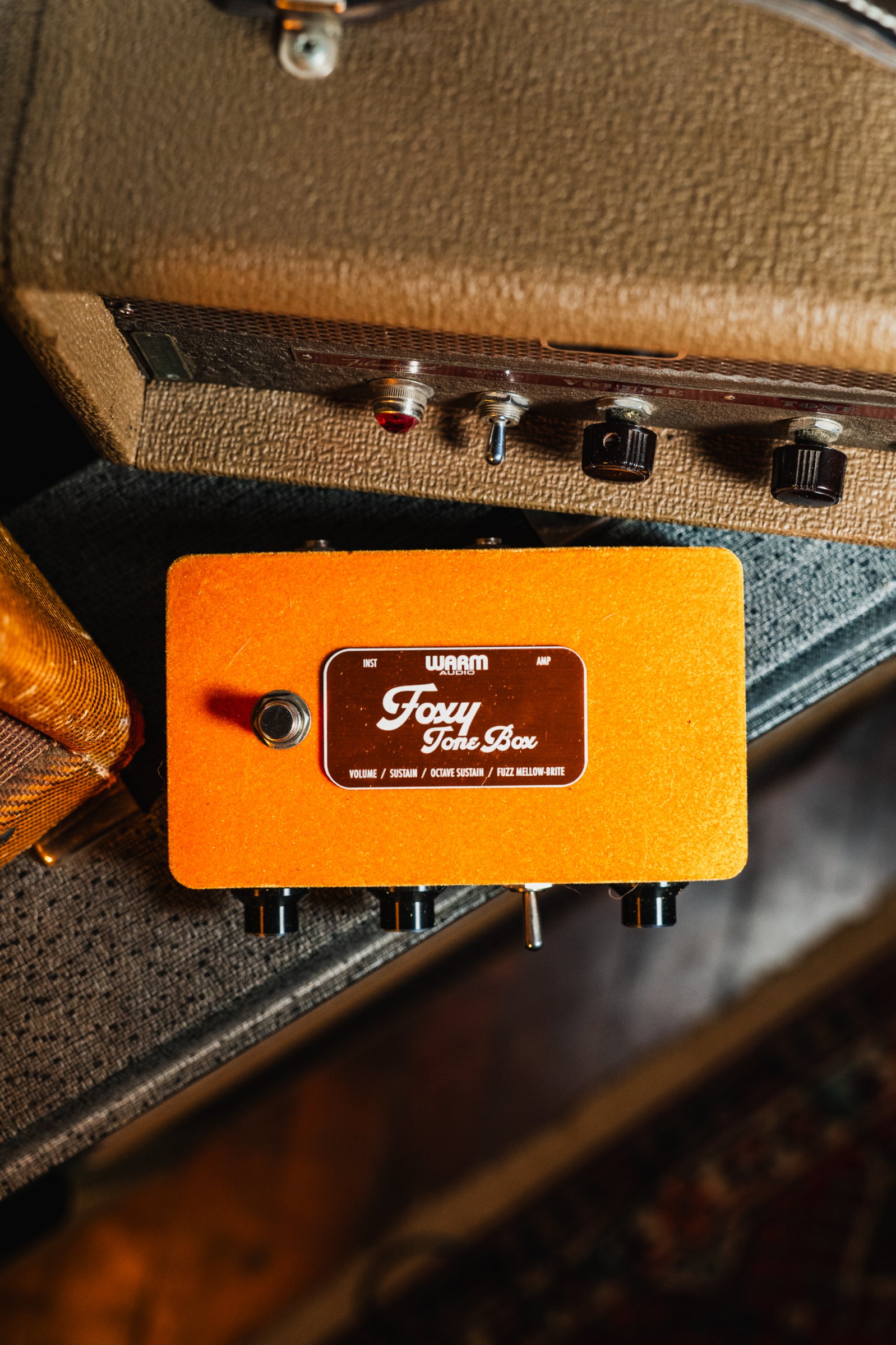 Warm Audio Foxy Tone Box