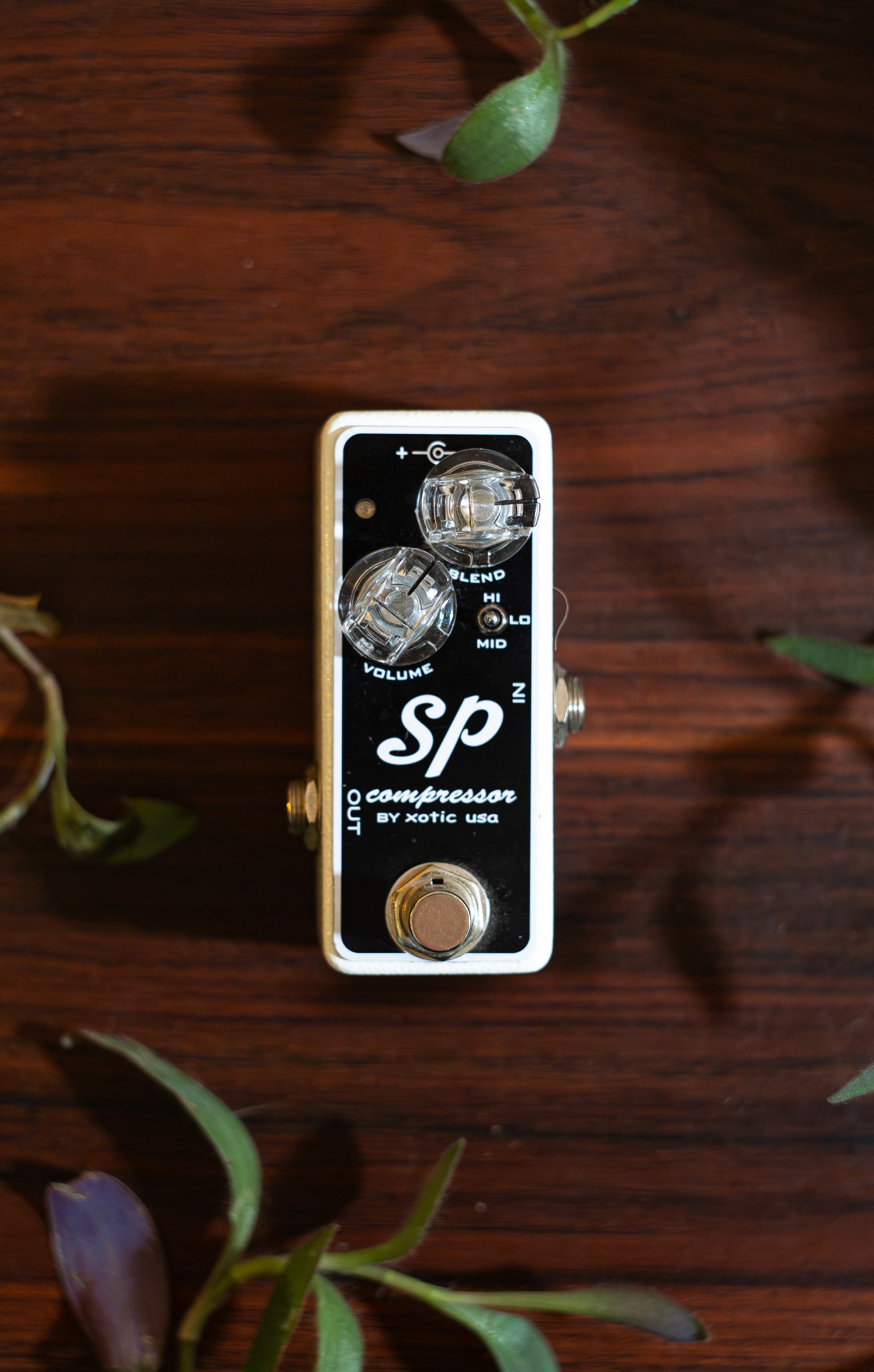Xotic Effects SP Compressor